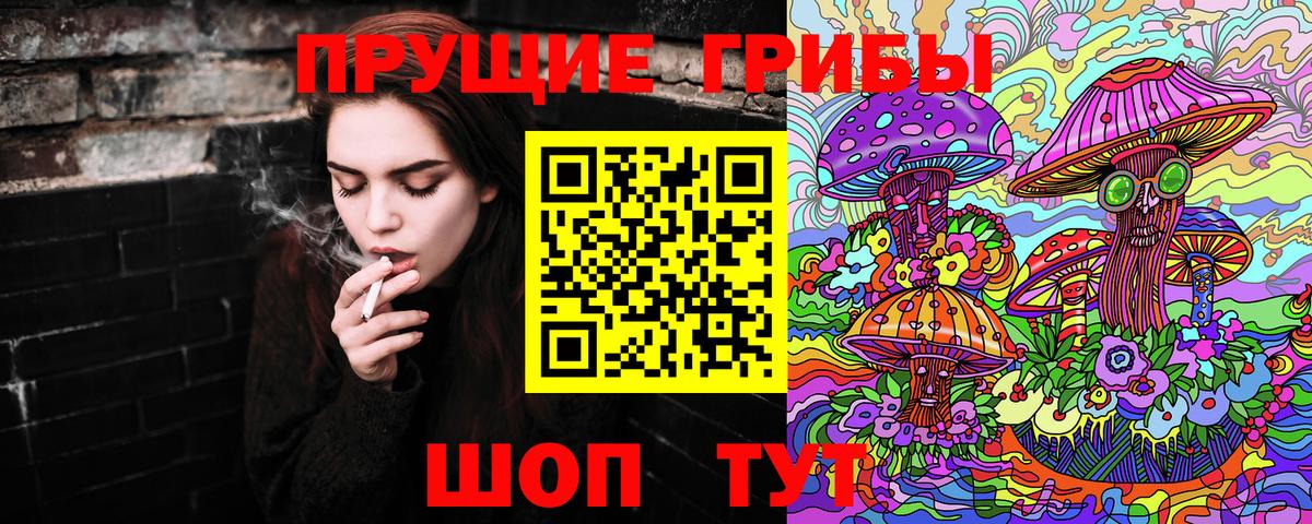 Орёл  наркота  Вход с VPN  Галлюциногенные грибы Cubensis 